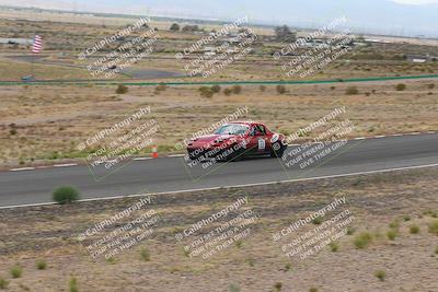 media/May-03-2025-Lucky Dog Racing (Sat) [[206de64b9d]]/Turn 6 (150pm-230pm)/